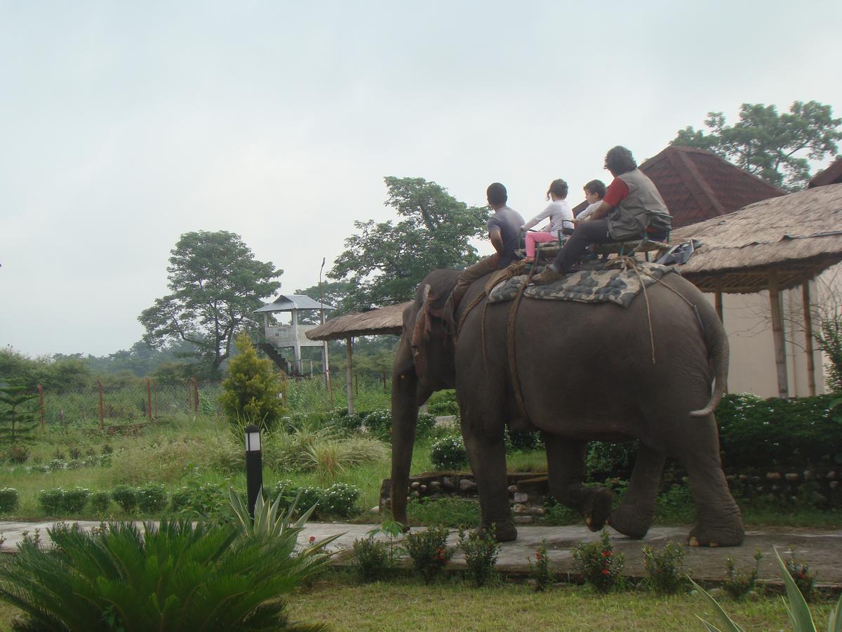 Musa Jungle Retreat Kumguri Εξωτερικό φωτογραφία